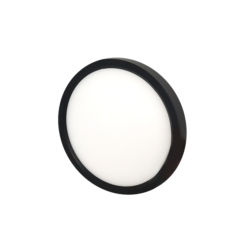 Surface Mount Ceiling Light